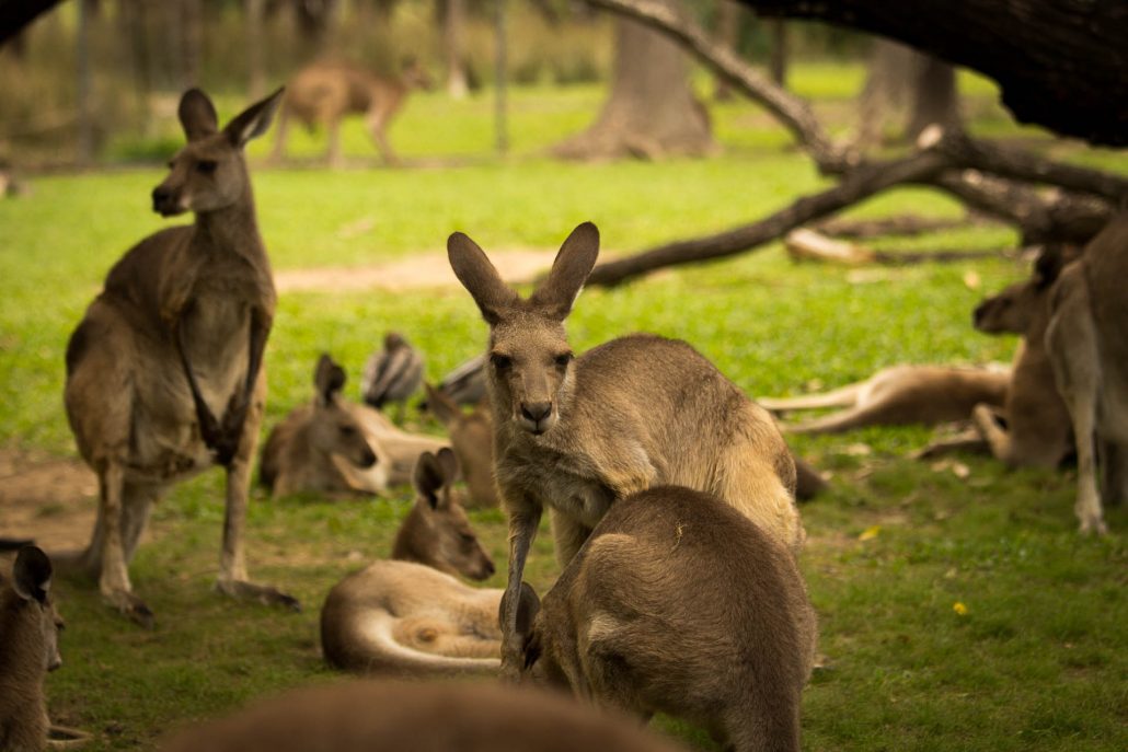 2014-02-05 – 09 Brisbane -> Surfers Paradise -> Byron Bay